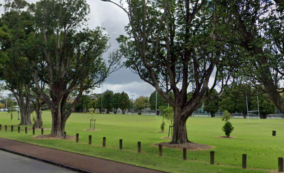 Epsom, Cornwall Park, Touch Rugby